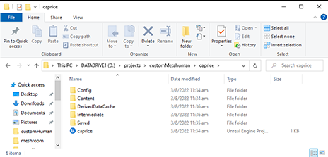 File Structure