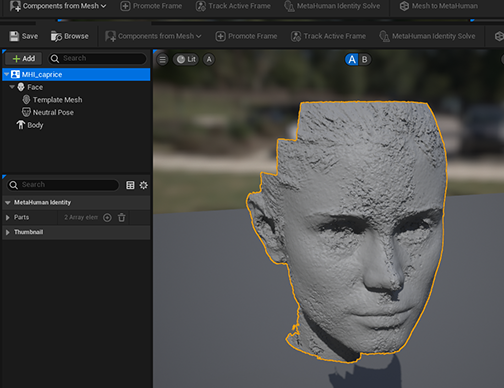 Scanned Head now part of Metahuman Identity